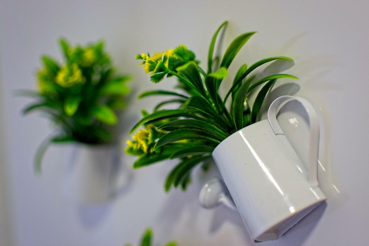 Carla Apartamentos ナザレ エクステリア 写真